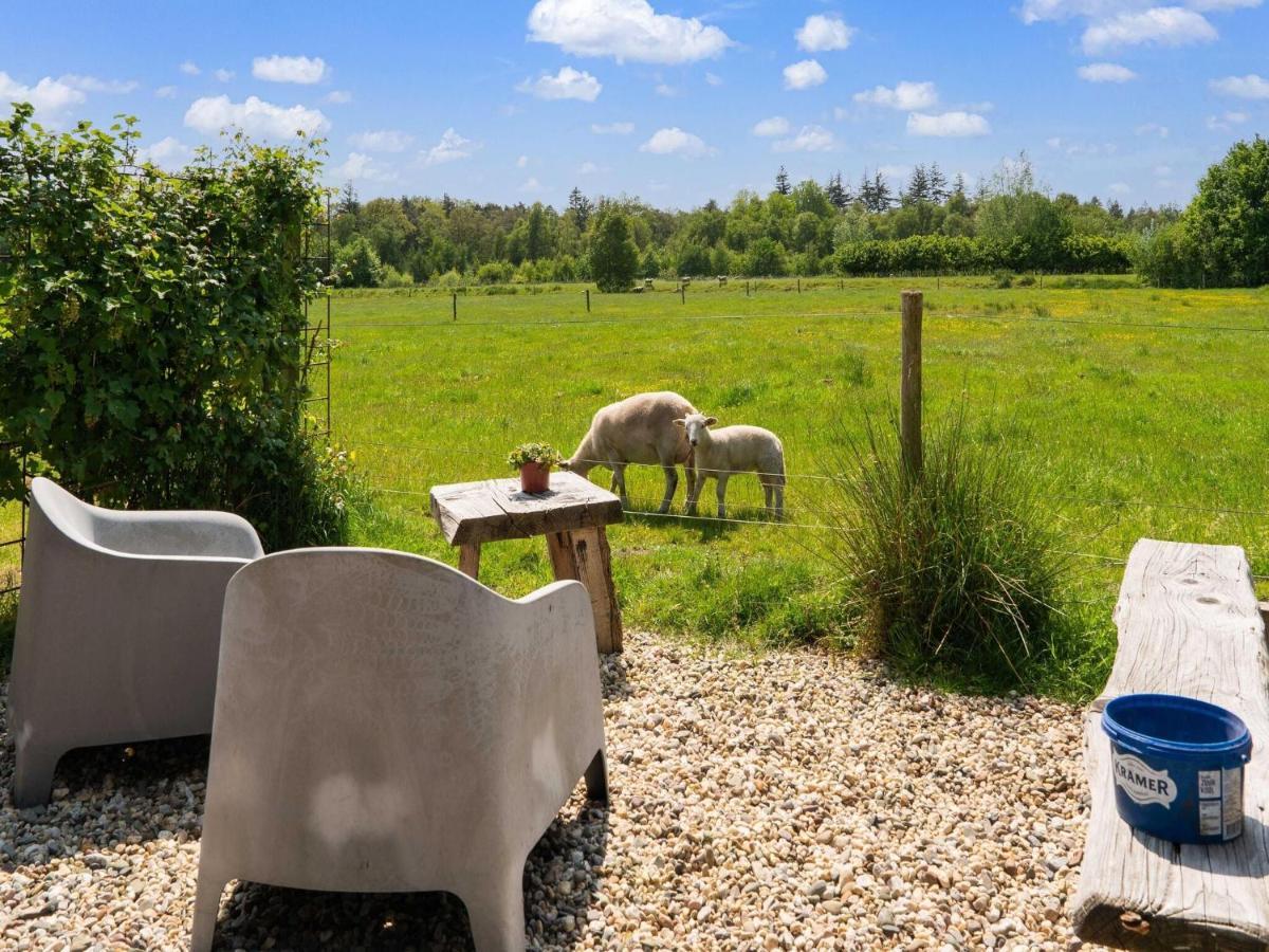 A Lovely Cottage On The Dwingelderveld Nature Park Beilen Dış mekan fotoğraf